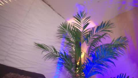 samantha_hott01 online show from November 4, 2025, 11:15 pm