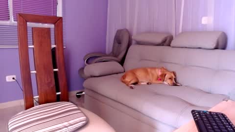 sam online show from December 2, 2024, 4:31 pm