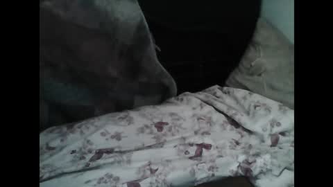 Samedisamedi1nouveau online show from March 7, 2026, 10:12 am