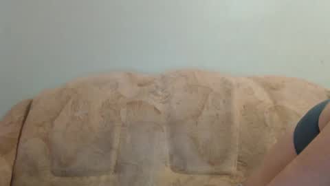 samiliya online show from December 14, 2024, 7:51 am