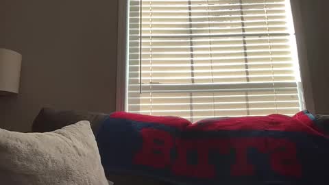 Playful Sammie online show from January 18, 2026, 3:49 pm