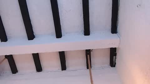 Snapshot of sammy_boobiex chatting on February 20, 2026, 2:30 am Sammy online show from February 20, 2026, 2:30 am