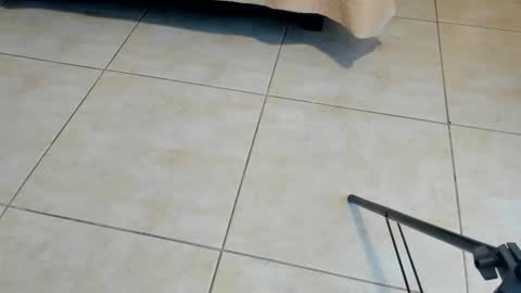 Axel online show from November 2, 2025, 12:29 pm