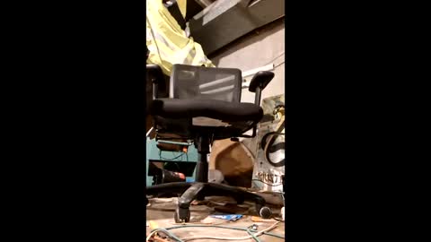 samueleknx online show from April 24, 2026, 6:05 am