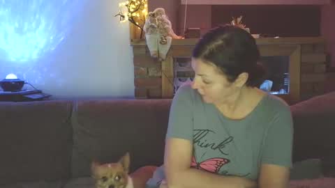 sanroom online show from November 28, 2025, 3:47 pm