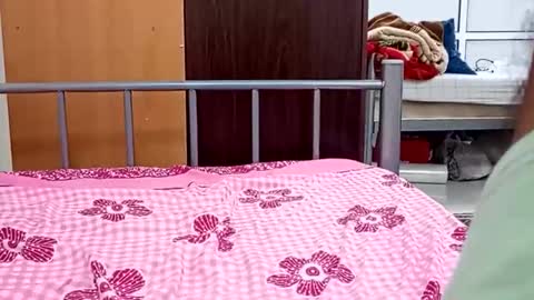 Harder online show from October 31, 2025, 1:34 pm