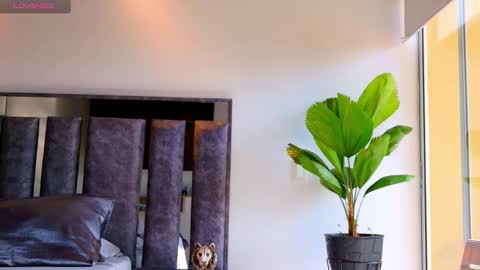 Santiago Seans online show from February 5, 2026, 1:49 pm