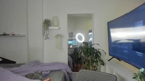 kitty online show from November 19, 2025, 12:43 am