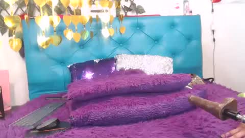 Snapshot of sarawiills chatting on January 29, 2025, 1:49 pm Sara Wills online show from January 29, 2025, 1:49 pm