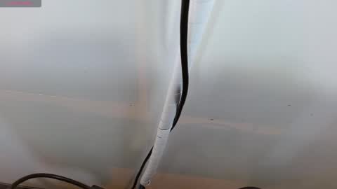 sasha_kinsley online show from February 11, 2026, 9:31 pm