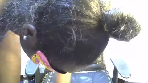 sasha_sexy769 online show from November 15, 2025, 7:10 pm