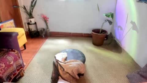 Ms. Oh   online show from January 15, 2026, 6:33 pm