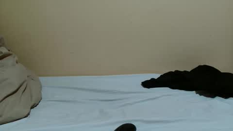 sassybabe20 online show from February 22, 2026, 1:09 pm