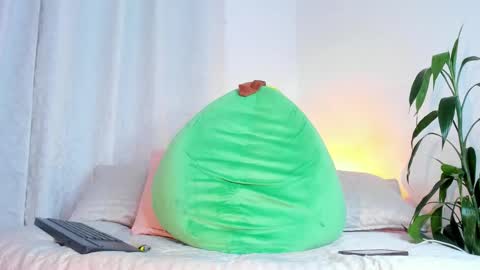     online show from November 26, 2025, 8:04 am