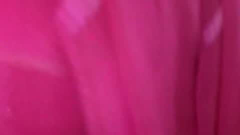 Anjali online show from March 11, 2026, 5:02 am