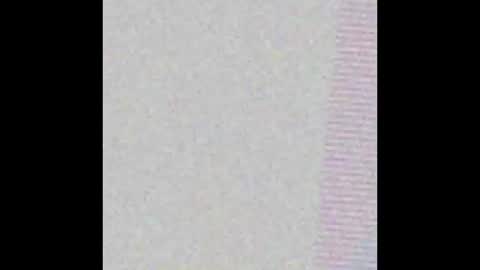 petperson04 online show from March 20, 2026, 11:26 am