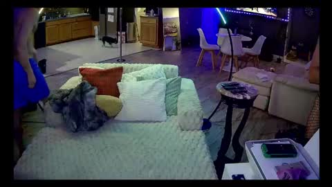 sayluvv504 online show from May 21, 2026, 4:41 am