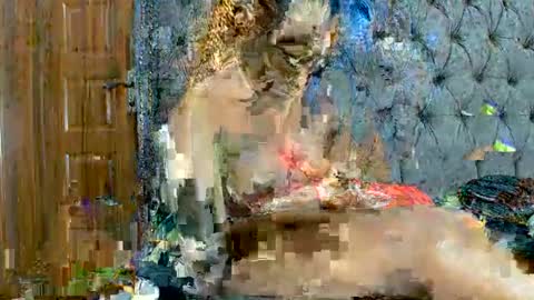 Snapshot of scarlet_seductress chatting on March 2, 2026, 11:22 pm scarlet seductress online show from March 2, 2026, 11:22 pm