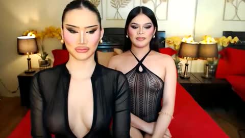 Scarlet online show from February 17, 2026, 8:22 am