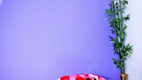 Denis online show from January 3, 2025, 2:08 pm