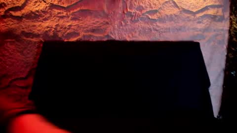 Snapshot of scarlett__fox__ chatting on September 23, 2025, 11:13 am SCARLETT FOX  online show from September 23, 2025, 11:13 am