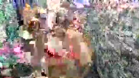 SCAS ANGEL S online show from April 27, 2026, 2:42 am