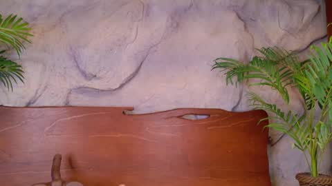 scarlettsinclaiir_ online show from June 8, 2026, 4:02 am