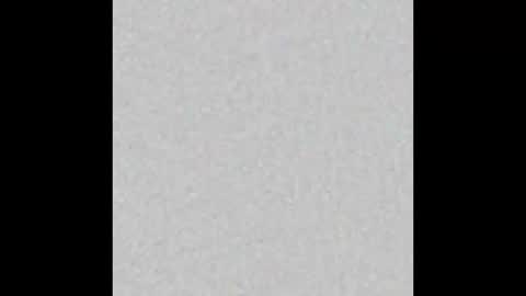 Scolw  online show from December 15, 2025, 11:47 am