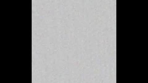 Scolw  online show from January 14, 2026, 12:00 pm