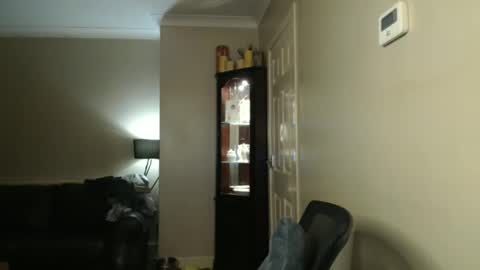 Snapshot of scottsman214 chatting on January 19, 2025, 12:49 am James online show from January 19, 2025, 12:49 am