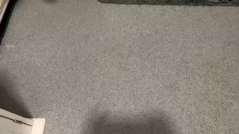 scottyc48 online show from January 12, 2026, 3:17 pm