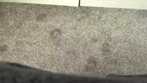 scottyc48 online show from March 21, 2026, 11:59 am