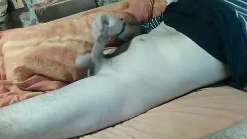 seb online show from February 5, 2025, 8:14 pm