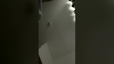 sedaliasens online show from March 9, 2026, 7:45 am