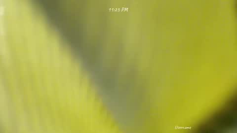 seduce_me_oldman online show from March 9, 2026, 3:16 pm