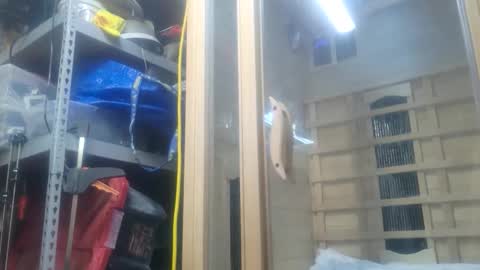 Snapshot of seeker404 chatting on October 26, 2025, 11:09 pm Seeker online show from October 26, 2025, 11:09 pm