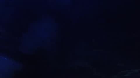 Seeker online show from May 11, 2026, 5:57 am