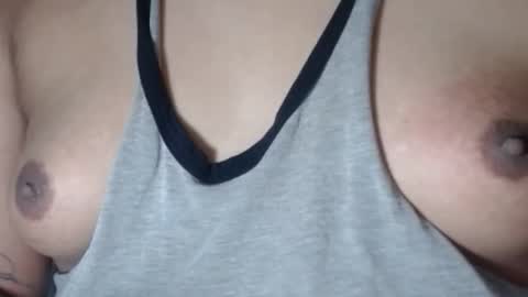 Selda online show from November 4, 2025, 12:04 pm