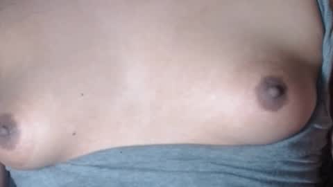 Selda online show from February 17, 2026, 8:44 am