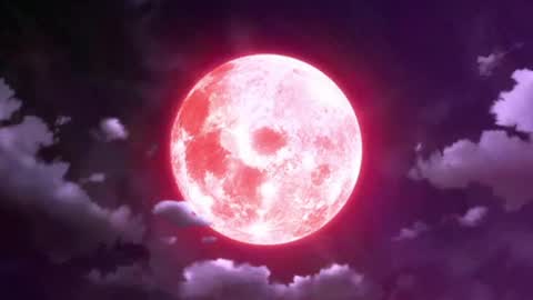 Selene G  online show from May 13, 2026, 3:15 am