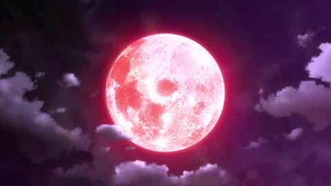 Selene G  online show from May 15, 2026, 2:51 am