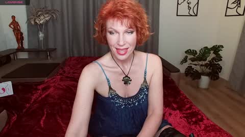 Selesta online show from January 28, 2025, 8:04 pm