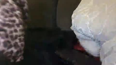 Snapshot of selfiepicdump chatting on December 10, 2024, 4:45 am Julian Kinky Bi-guy online show from December 10, 2024, 4:45 am