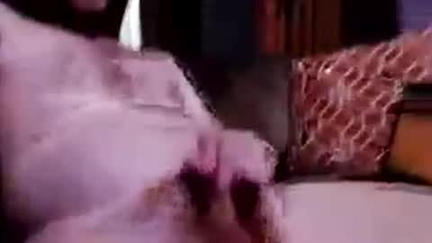 Chris my ass online show from June 26, 2026, 1:10 am