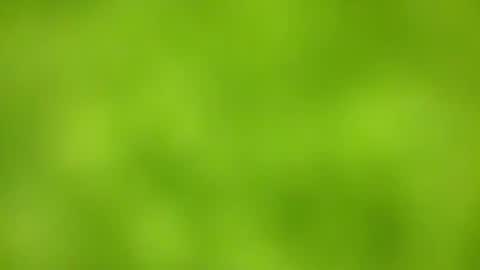 sens3439 online show from November 24, 2025, 8:36 am