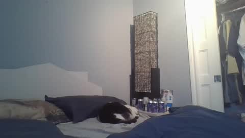 sensualcock4you online show from December 20, 2025, 2:24 pm