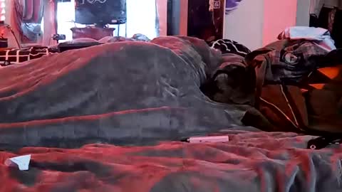 Snapshot of sevilxnatas chatting on January 29, 2025, 7:22 pm Sydney Mae online show from January 29, 2025, 7:22 pm