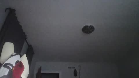 sexbrute online show from May 17, 2026, 1:03 am