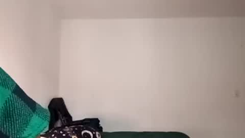 Verona online show from September 15, 2025, 6:35 am