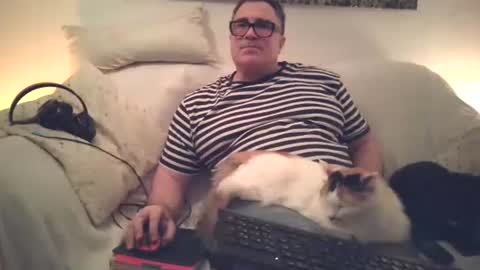 Sexurbation online show from November 29, 2025, 6:33 pm